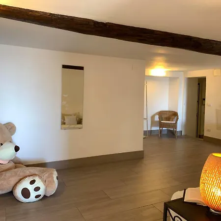 House Teddy By Holiday World *